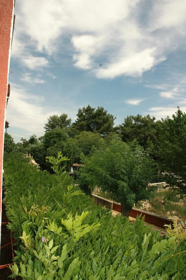 Apartments Judit Tar-Vabriga Exterior foto